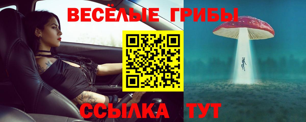 Галлюциногенные грибы MAGIC MUSHROOMS Архангельск